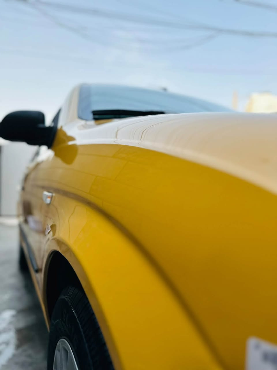 طيبة • ٢٠١٧ • مكفولة