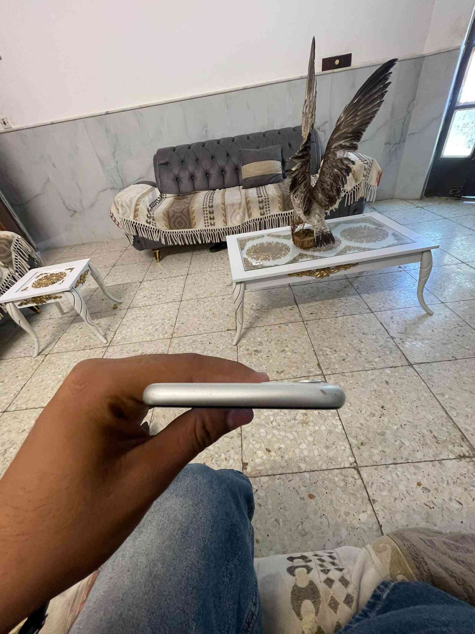 سلام عليكم يفوان ١١ عادي ألسعر ١٨٠ الجهاز يخبال 
   
1-مبدل شاشه وبطريه 

2-بطريه ٨٢

3-اذكره ١٢٨

بكني بغداد جسر ديلى القديم 

وتساب ***********
 
ما راد علا التعليق فقط وتساب
