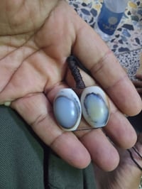 شلع