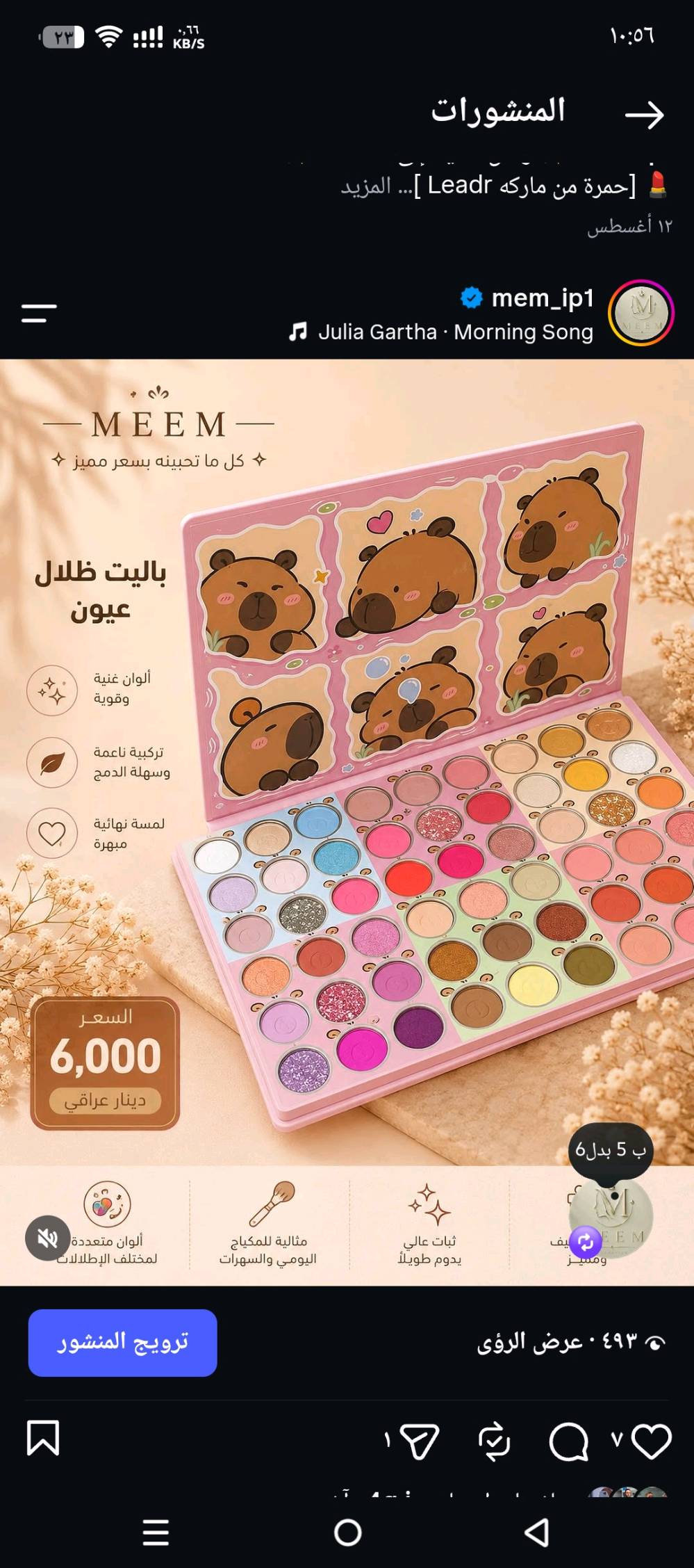 مجموعة باليت منوعه