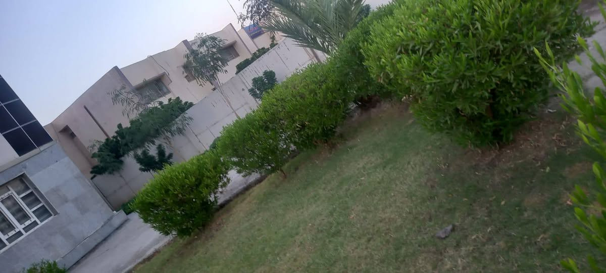 سلام عليكم يوجد لدينه قص جميع انواع الحدايق وزراعت الشجار تصال ***********

نص مكتوب في الصور:
- قبل
- بعد