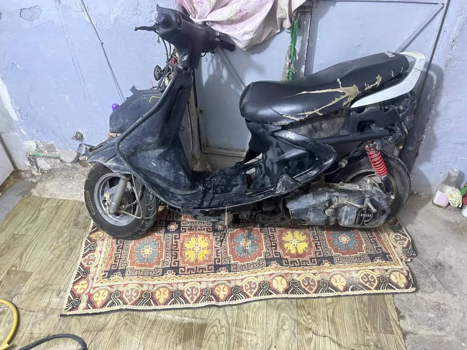 فراشة • نضيفه • ١٧٥