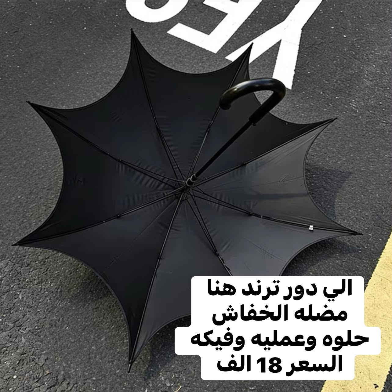 مظلة شخصية • قطر ١٣٥ سم • خفاش