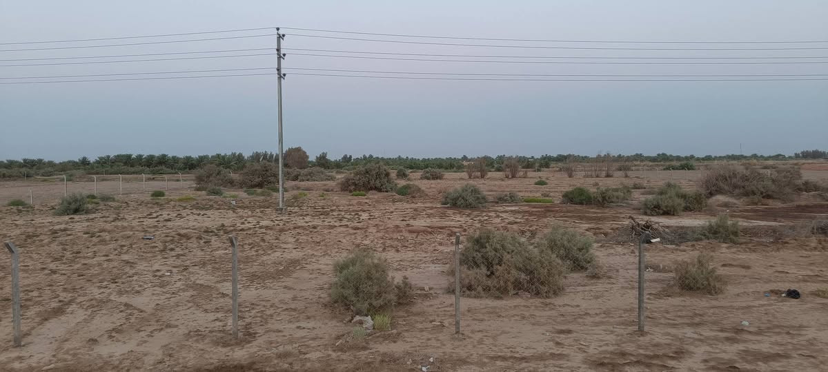 السلام عليكم 
أرض زراعية للبيع طابو سند 25 مساحه 6 دونم ونص على طريق الشوملي دغاره على شارع العام مباشر للاستفسار ***********
