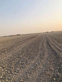 ١٠ دونم • طابو سند ٢٥ • قرية ذهب