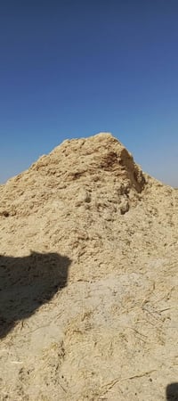 تبن نظيف • درجة أولى • بادوش زنازل