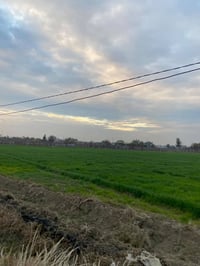 ٤ دوانم ونص • طابو زراعي • ونس الجباره