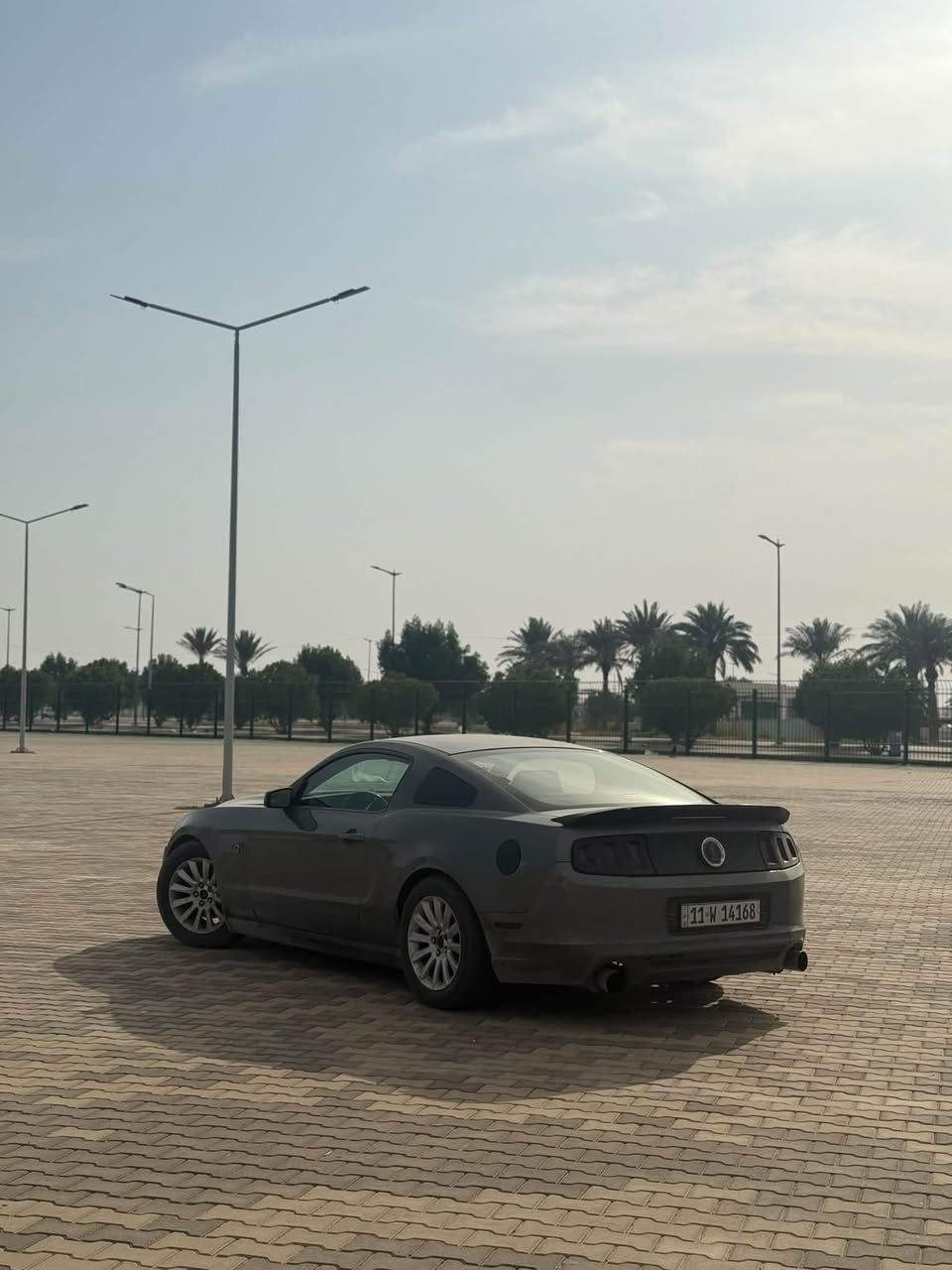 موستنك v6 2013 للبيع او مراوس بسيارة 4 ابواب
السيارة نص مواصفات 
حادثها جاملغ وبنيد مصبوغة ثلاث قطع وكلش طبيعي
بهالموديل
كيرها ومكينتها كفالة 
كهربائياتها بلادية كلشي شغال بلوتوث بيها
محرك وكير كفالة

بس البرمجة العليها 150$
عليها برمجة عزم 
وبرمجة كت اوف 
 وبرمجة تحسين اداء عام
وبرمجة طلقات popcorn

ودبات بورلا يعني صوت رعيد 500$

رقمها مشروع وطني بغداد 
باسمي السيارة مكاني بصرة
***********
