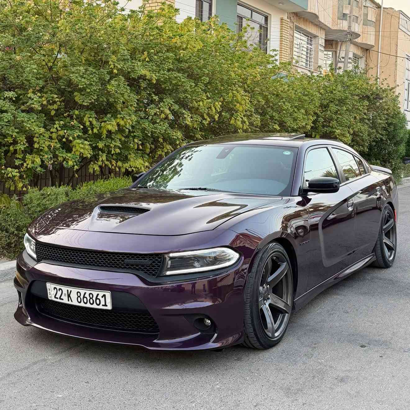 جارجر 2022 لون بنفسجي🥇🥇
مكينه 5700 RT🚀

فول مواصفات للاخير 

حادث بابتين وبالعراق صار ربع البنيد صبغ

عليها  تفريغ  وبرمجه يم ايكل

اكس بايب شغل قفايص بلادي  يم علي الوادي  

مواصفات ؛👀

سلايت 

كشنات كنتاره

كشنات تدفئه وتبريد 

كشن ميموري 

حساسات خلفيه

نقطه عمياء

ويل نجمه 

سماعات لباين

دشبول خياط وبطاين

لايت زنون بلادي 

ولف حماره ريسنك83

ماشيه 66الف

رقم اربيل تحويل او وكاله

تحويل ثاني يوم

السعر227💸

***********

مكان سياره بغداد الدوره

صور حادث بمنشور
