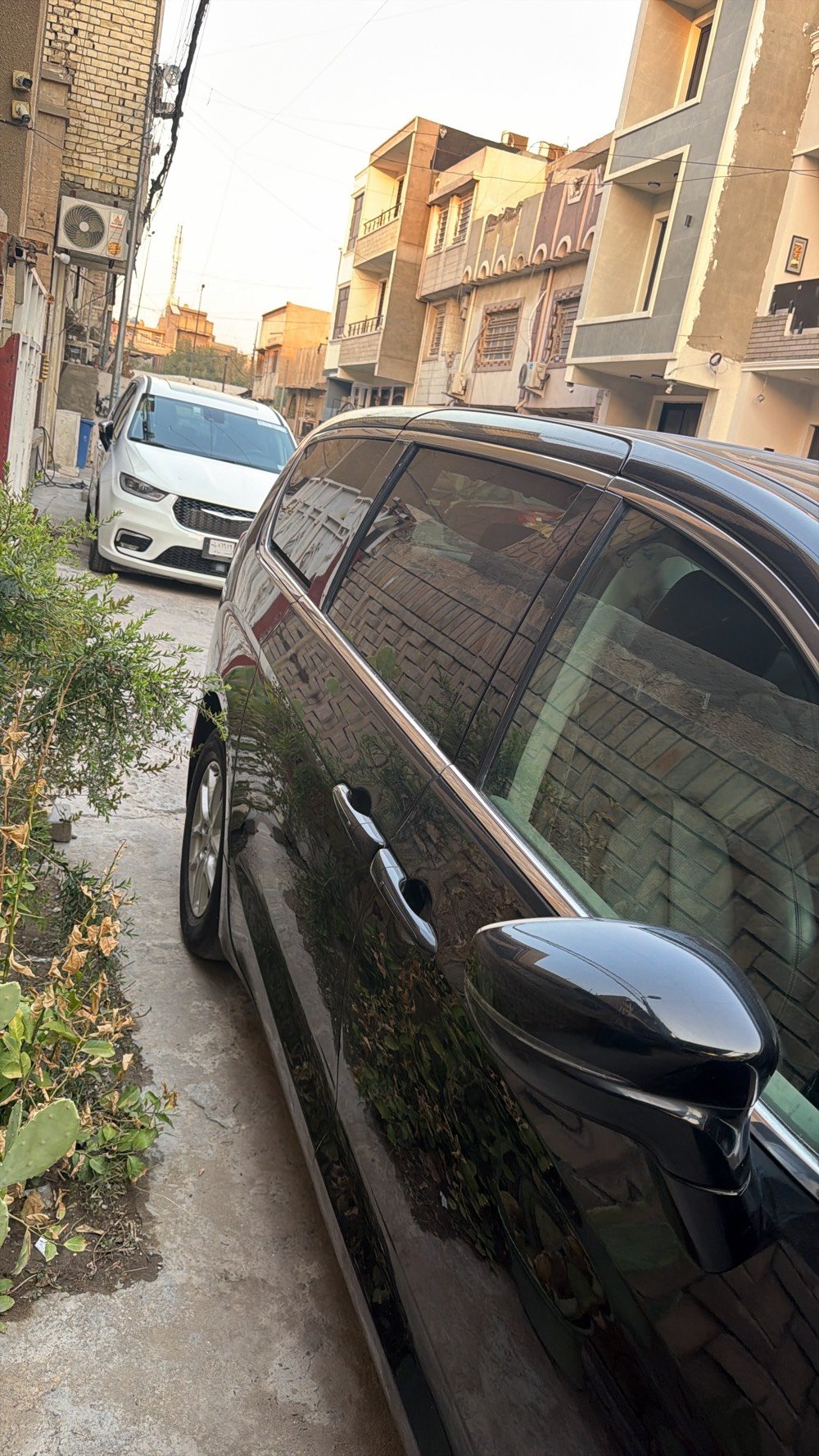 باسفيكا توزنك L 2024  دخول. جديد. تقرير مياه.  سياره.  فول من كلشي وجاهزه