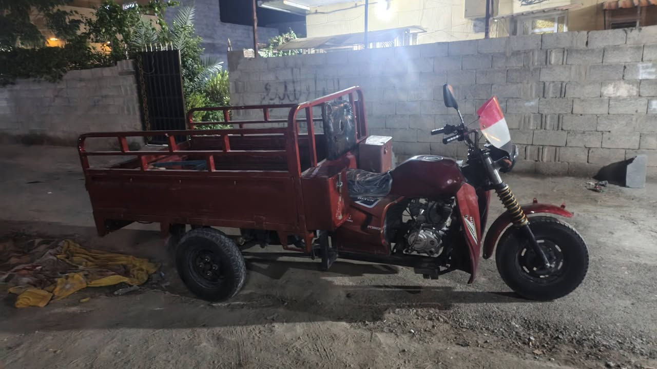 ستوته • نضيفه • اوراق