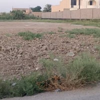 الرمادي • شارع الجرايشي • دونم