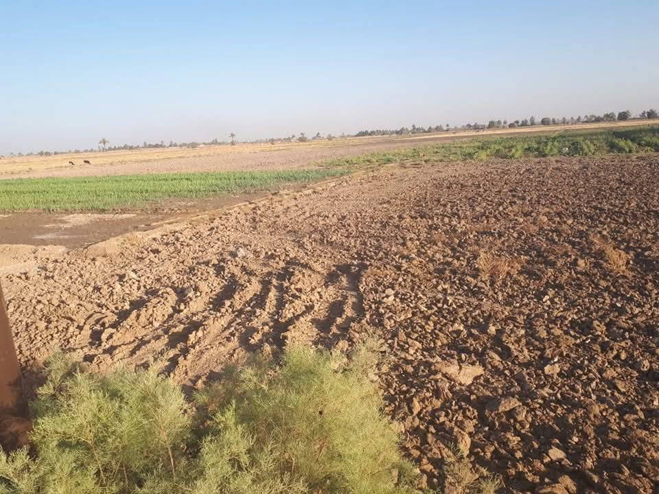 أرض زراعية للبيع ٣٠دونم زبيدي شاخه 24تحتوي على دار سكن مع مضخت ماء صالحه لزراعة تسكي على نهر القائد وعله ازبيدي تبعد عن الشارع ٥قطع مدرسه ابتدائيه ومتوسطه ***********
