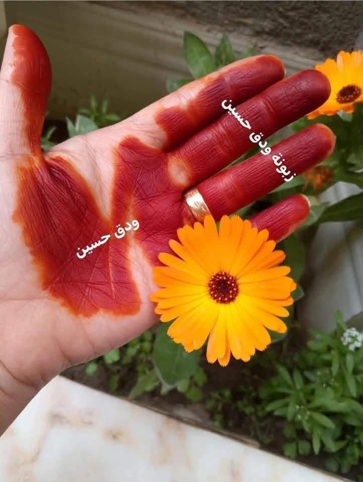 توفرت لدينا اجود انواع الحنه اليمنيه والحنه العمانيه 
خام بدون اضافات 
تعالج التساقط والتقصف 
تغطي الشيب 
تغذي وتنعم الشعر 
( اليمنيه سعر الكيلو ٢٠ الف ) ( والعمانيه 18 الف )
للحجز والاستفسار على الرقم ***********

نص مكتوب في الصور:
- زبونة ودق حسين
- زبونة ودق حسين ودق حسين