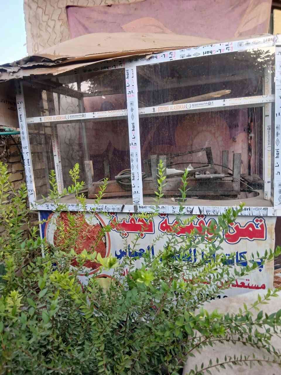 ميز • شغال • بيه عينين