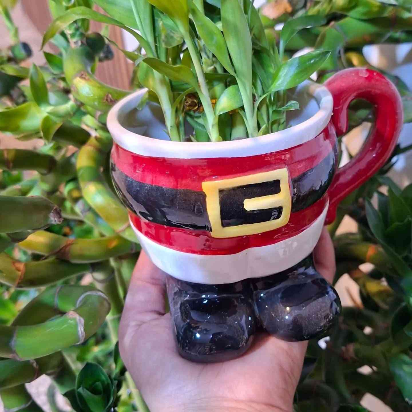 🌿✨ عرض جديد من مجمع الأورزدي ✨🌿
🌱 كوب أنيق ويا عصا موسى
لمسة خضراء بسيطة تضيف جمال وفخامة للمكان 🤍
🔥 السعر ٦٠٠٠ فقط 🔥
📍 حلة – حي الصحة – شارع الكورنيش
📞 ***********
📞 ***********

خلي بيتك يحچي عن ذوقك 🌿✨
