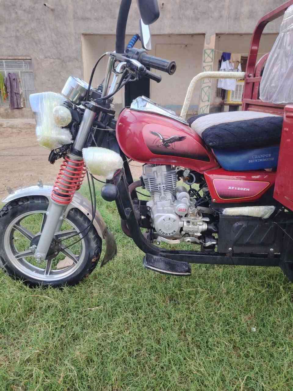 مجهول