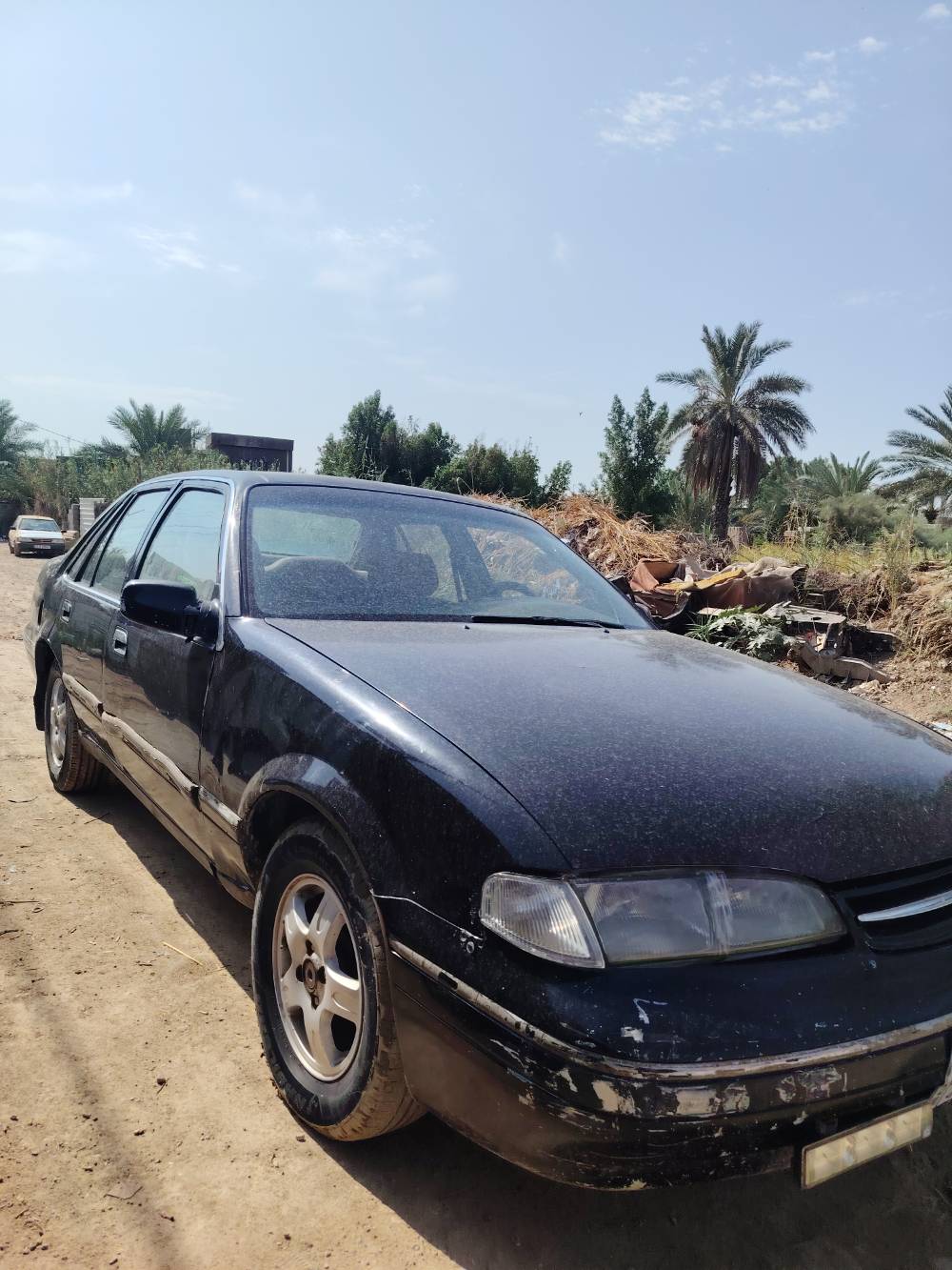 برنس فراشه • ١٩٩٦ • بابل الاسكندرية