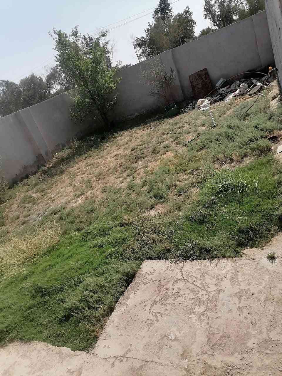 بيت زراعي مساحته  400متر
قرب المستشفي عل شارع العام مقابيل مجمع الجوهر
الاستفسار  تصال عل هاذا الرقم***********
