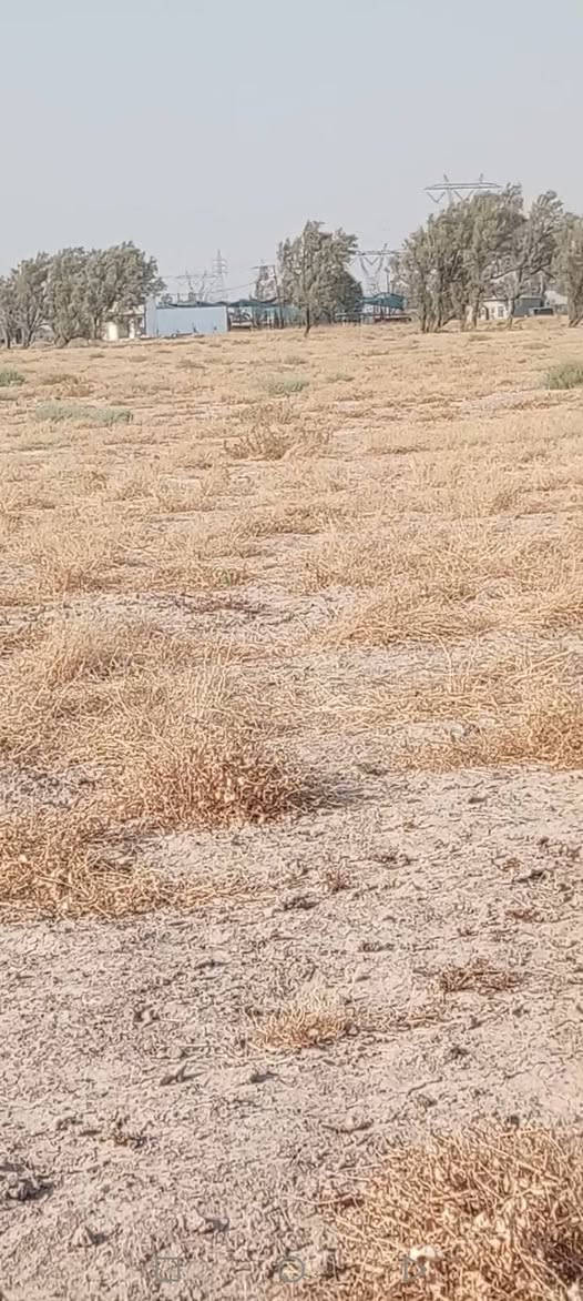 سلام عليكم أرض زراعية للبيع مساحه دونم مربع وكلش حلو واجهته ٤٠ ونزال ٦٢ عنوان بغداد قريه ١٠ قريبه عل علاء سكر  تنزل ٤ دقايق من الشارع العام عليهه تقريبآ كيلو شارعهه رئيسي  تبليط عقد ٣٥
سلام عليكم أرض زراعية للبيع مساحه دونم مربع وكلش حلو واجهته ٤٠ ونزال ٦٢ عنوان بغداد قريه ١٠ قريبه عل علاء سكر  تنزل ٤ دقايق من الشارع العام عليهه تقريبآ كيلو شارعهه رئيسي  تبليط عقد ٣٥
*********** هذا رقمي بي واتساب للتفاصيل أكثر
