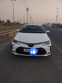 كورلا هايبرد • ٢٠٢٥ • رقم كربلاء
