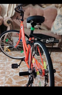 باسكل • ٢٠٢٢ • ٢٦ بوصة