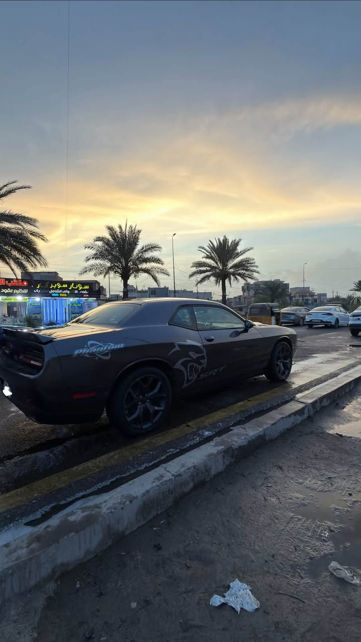 جالنجر GT • ٢٠١٩ • رقم اربيل