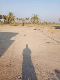 الحلة حي السجاد • ٣٠٠م • واجهة ١٥م