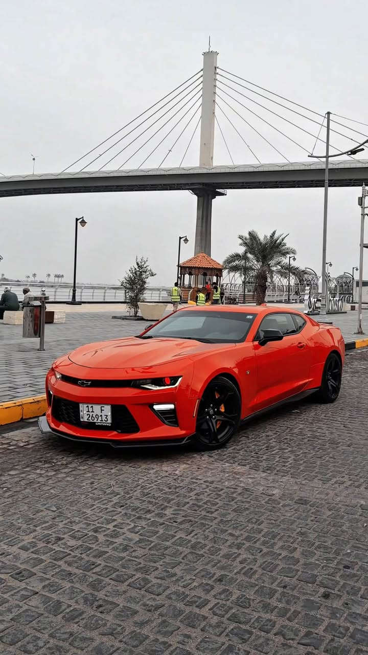 كمارو RS موديل 2018
محرك v6 340 HP

المسافة المقطوعة 50 الف ميل

المواصفات :

شاشة كبيرة مقاعد جلد كهربائية تدفئة وتبريد في المقعد فتحة سقف شفتات ستيرن دخول ذكي وتشغيل عن بعد 

الاضافات :

شوتة رياضية سبكتر من K&N

حلوك صالنصة كاربون فورجد اصلي اكرابوفيك 

دوس لون اسود طافي

كفر مرايا باتمان اسود لامع

لحية امامي اسود لامع

ويل 1le تو سايز اسود طافي 

غطاء وقود ترانسفورمر

التحديث :

بجم SS اصلي دعامية وشبابيك و بلوجكترات 

باك لايت LED سموك اصلي مفتوح من سيارة ZL1

الادامة :

بلكات وكالة جديدة 

حدادية كاملة امامي خلفي + لويات جدد + اذاين محرك وكير جديدة بالباكيت 

تخم تاير تو سايز جديد + تخم حساس جديد

جميع السوائل تم تغييرها ( هيدروليك الگير ودهن الاكسل وسائل البريك وماء الراديتر )

اكزوست كامل حجر بيئة جديد وكالة موديل 23 بالباكيت + حساسات اوكسجين جديدة 

الحادث : 

كما موضح بالصور حادث سطحي صبغ ربع جاملغ خلفي فقط 

وبالعراق بيها بارد اثر طخة خفيفه بالچاملغات الامامية بارد احترافي ابد ممبين بدون صبغ

تكحيلات جدا بسيطة احترافية بالكارت  100‎%‎

كل الانظمة سليمة ولا يوجد اي لمبة عطل في الدشبول 

السيارة كلش جديدة بنظافة ال 23 وغرفتها كلش جديدة 

عزلها حلو وماكو اي اصوات مزعجة داخل السيارة

السعر  158  $ وبيها مجال بسيط

للتواصل واتساب ***********
