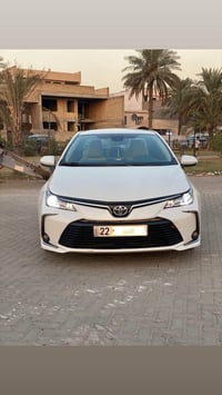كورلا خليجي • ٢٠٢٣ • رقم اربيل