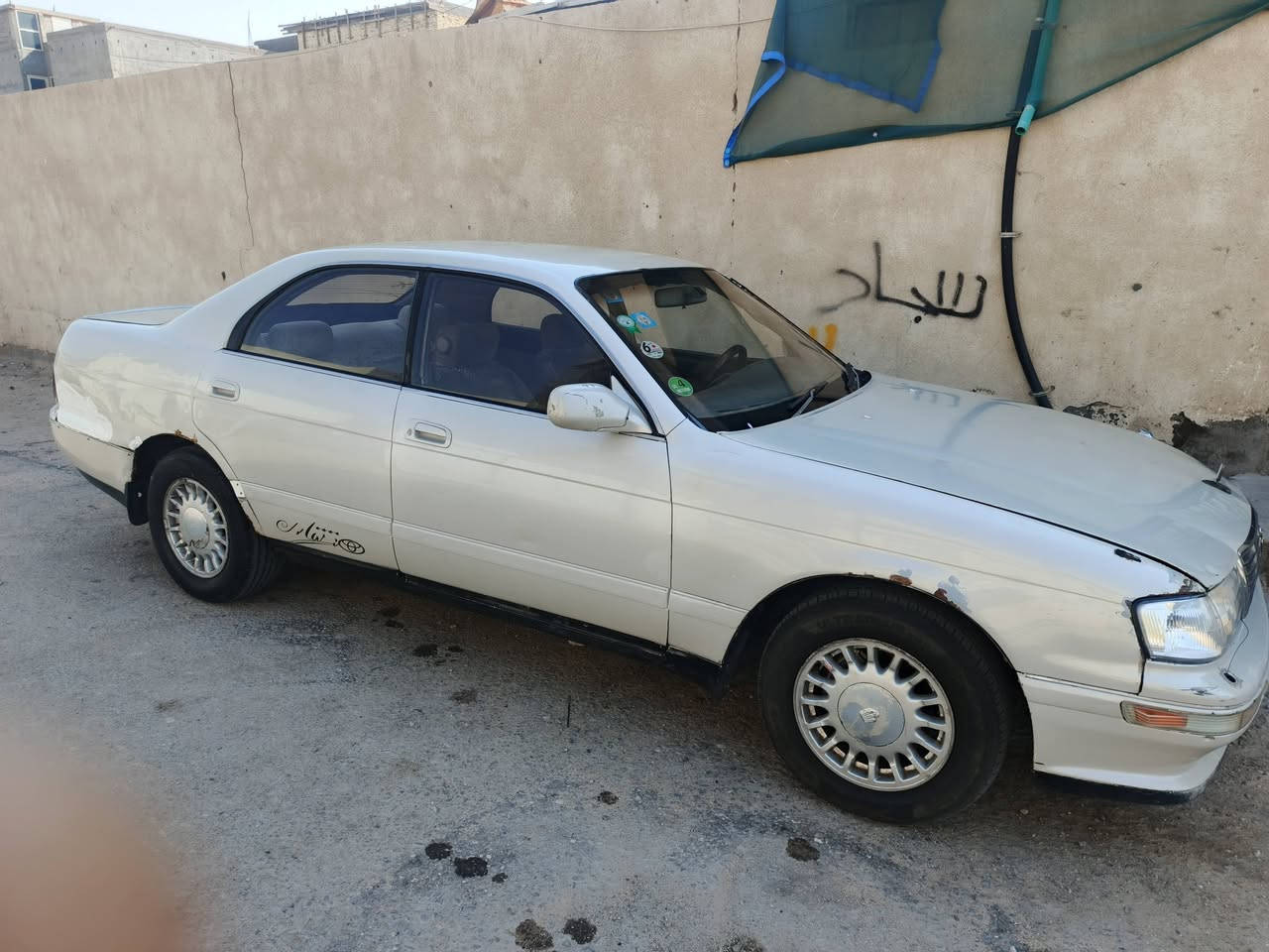 بطه متصل للبيع أو مراوس رقم انكليزي ذي قار بائسمي سنويه لغاية ٣٠ سعر ٤٥ ورقه *********** مكانه البصره
