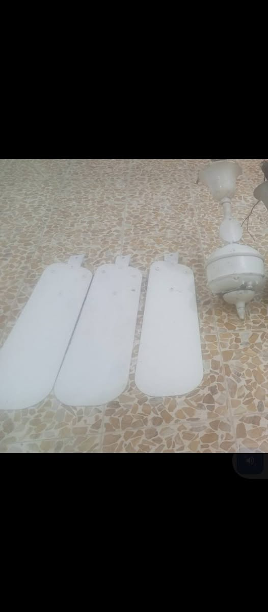 مروحه سقفيه
عمرها مايقارب ال 100 عام 
شغاله شرط السعر ٨٠ وبيها مجال قليل 
للتواصل واتساب.....***********
اتصال ***********
