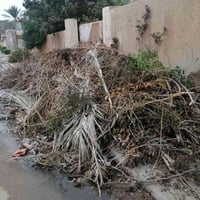 حطب مجاني • حمل تركتر • قرب جامع مصعب
