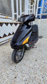 فراشة • نثيه • البصرة