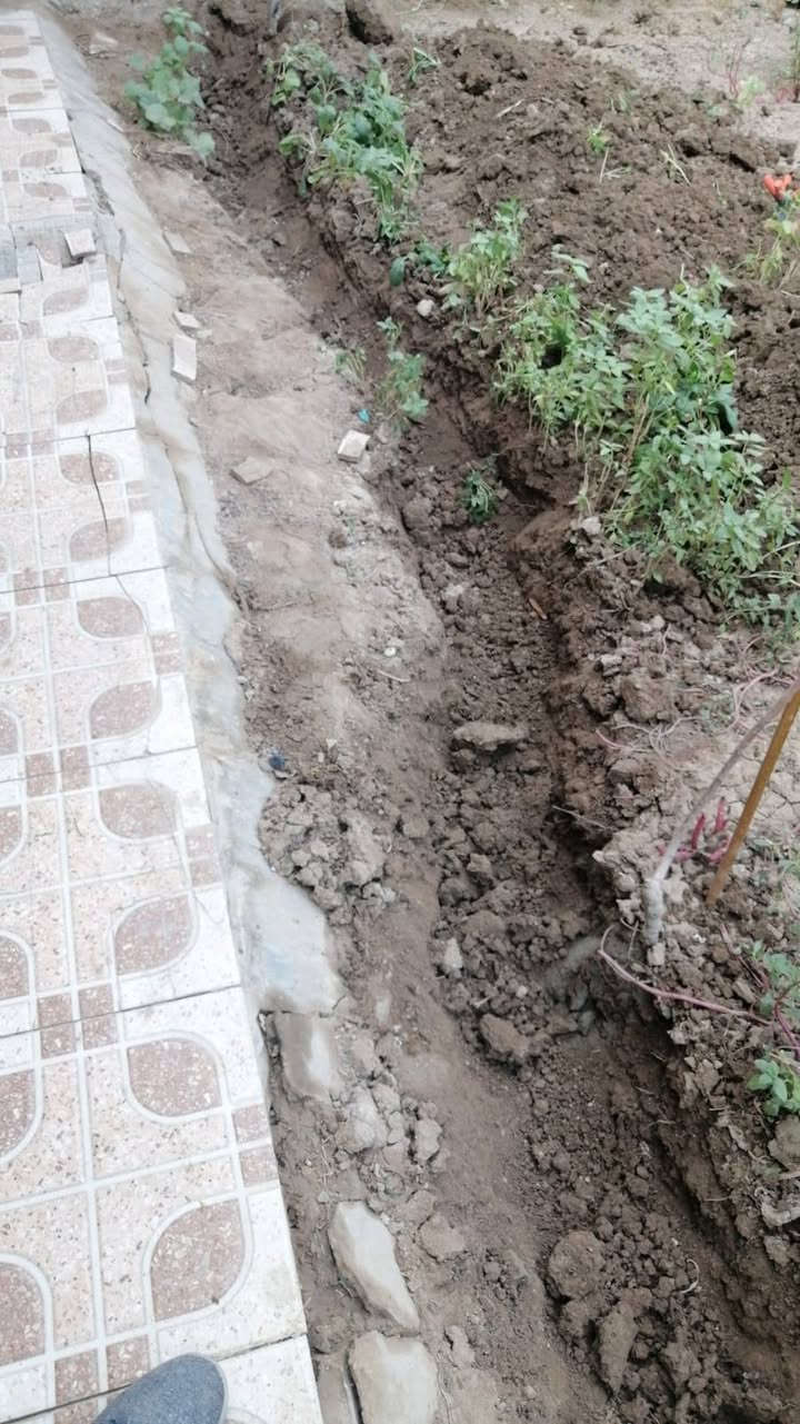 مكافحة الأرضة • فحص ومعالجة • الديوانية والحلة