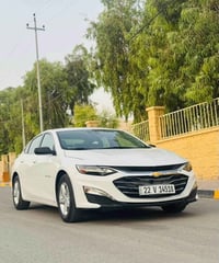 ماليبو • ٢٠٢٣ • بدون صبغ