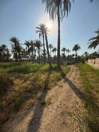 كربلاء طويريج • ١٣٤٠م • سند ٢٥