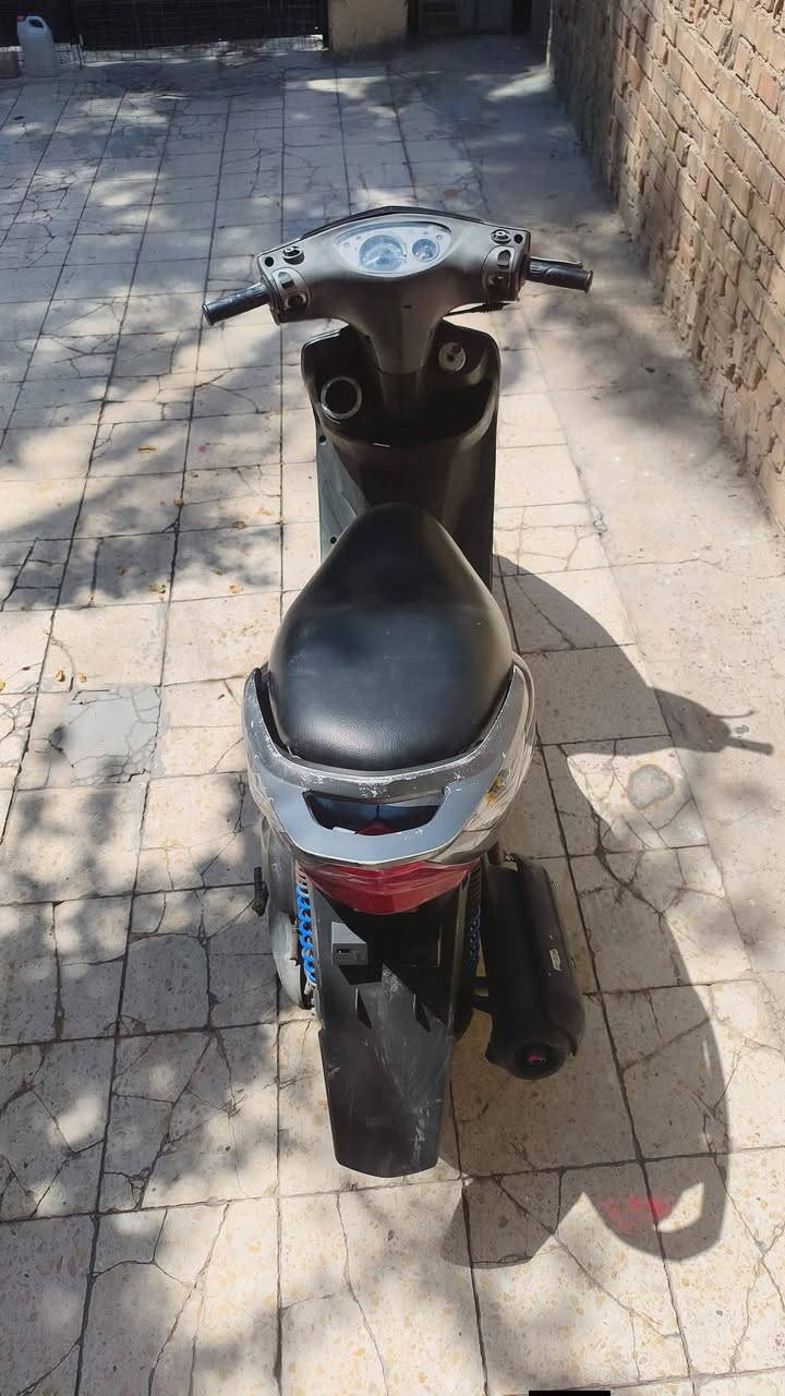 ثعلب للبيع السعر 250 وبيهة مجال حك الجية مامتواجد فيس
***********
