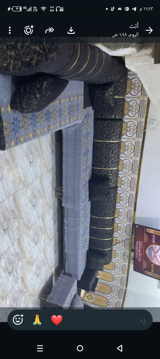 تخم • نظيف • ما بي اضرار