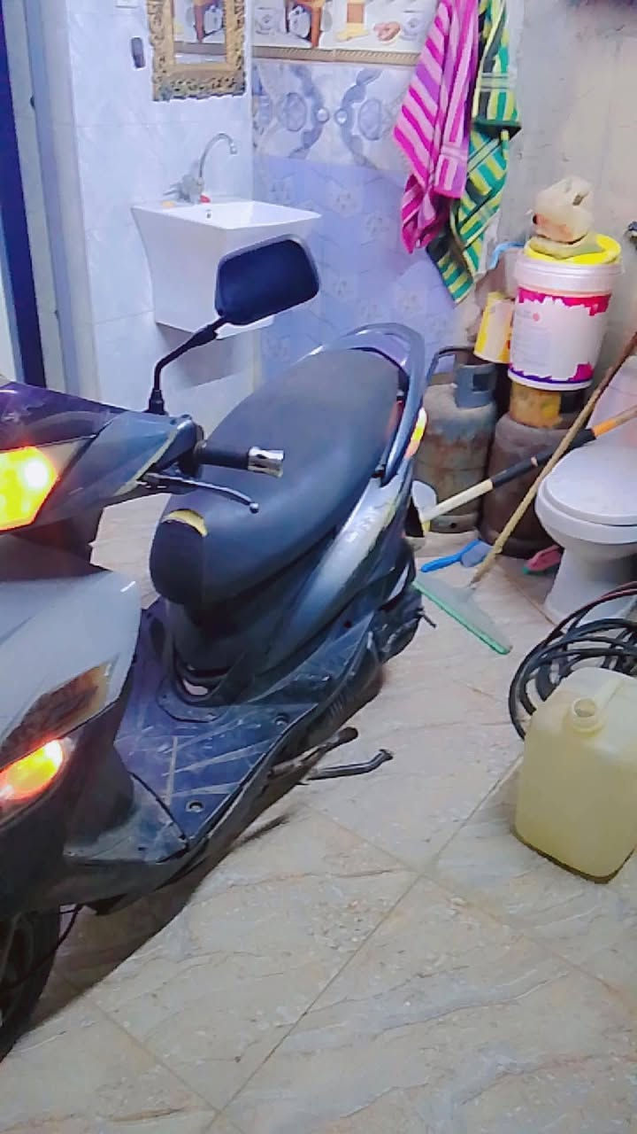 سكنس ثعلب • جديده • كفرات