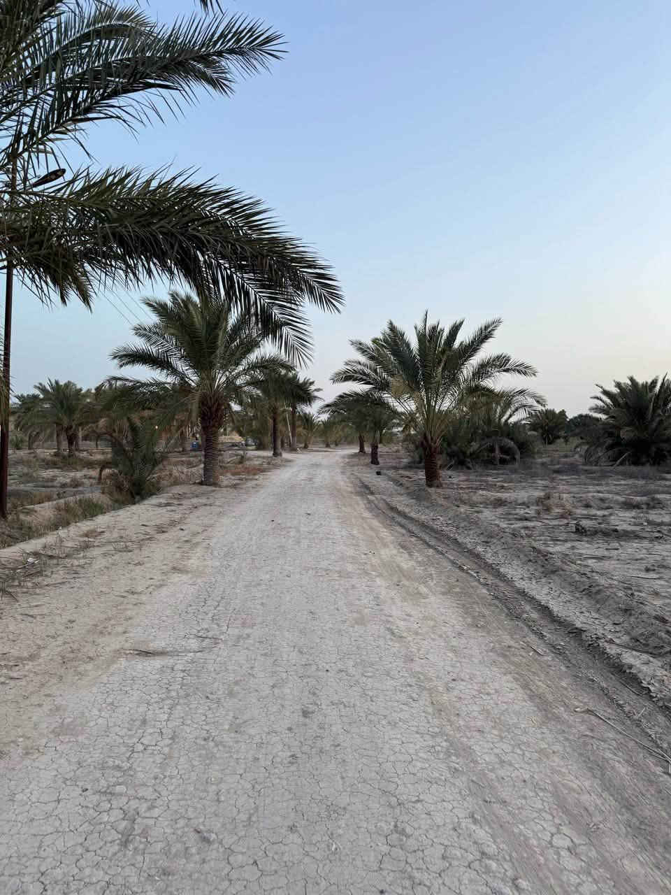 ٦ دونم • طابو سند ٢٥ • سماوه السوير