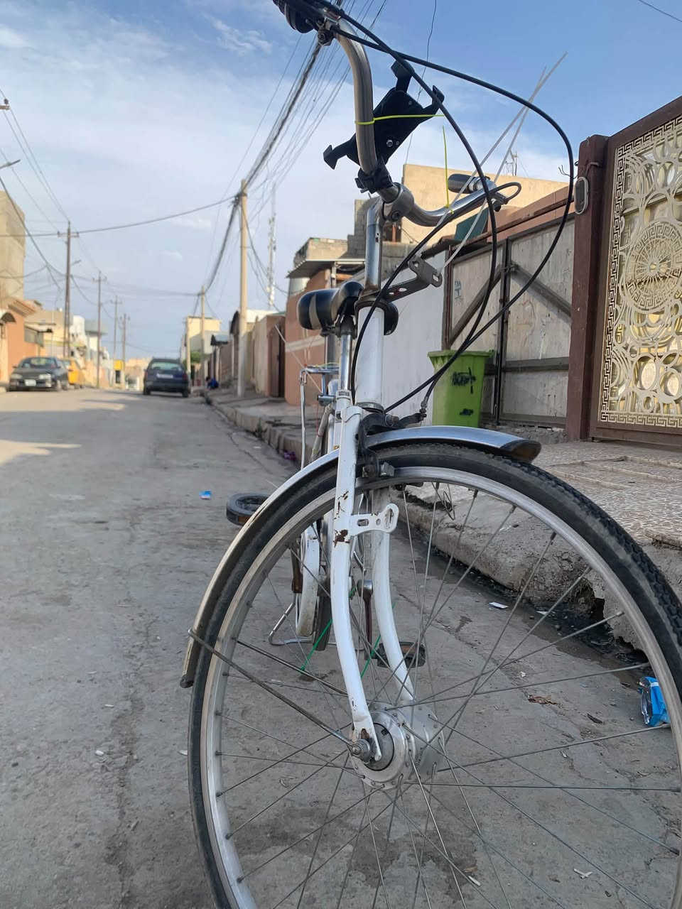 باسكال • ٦ نمر • نظيف