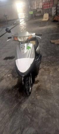 منغولي • شغال • سلف هندر