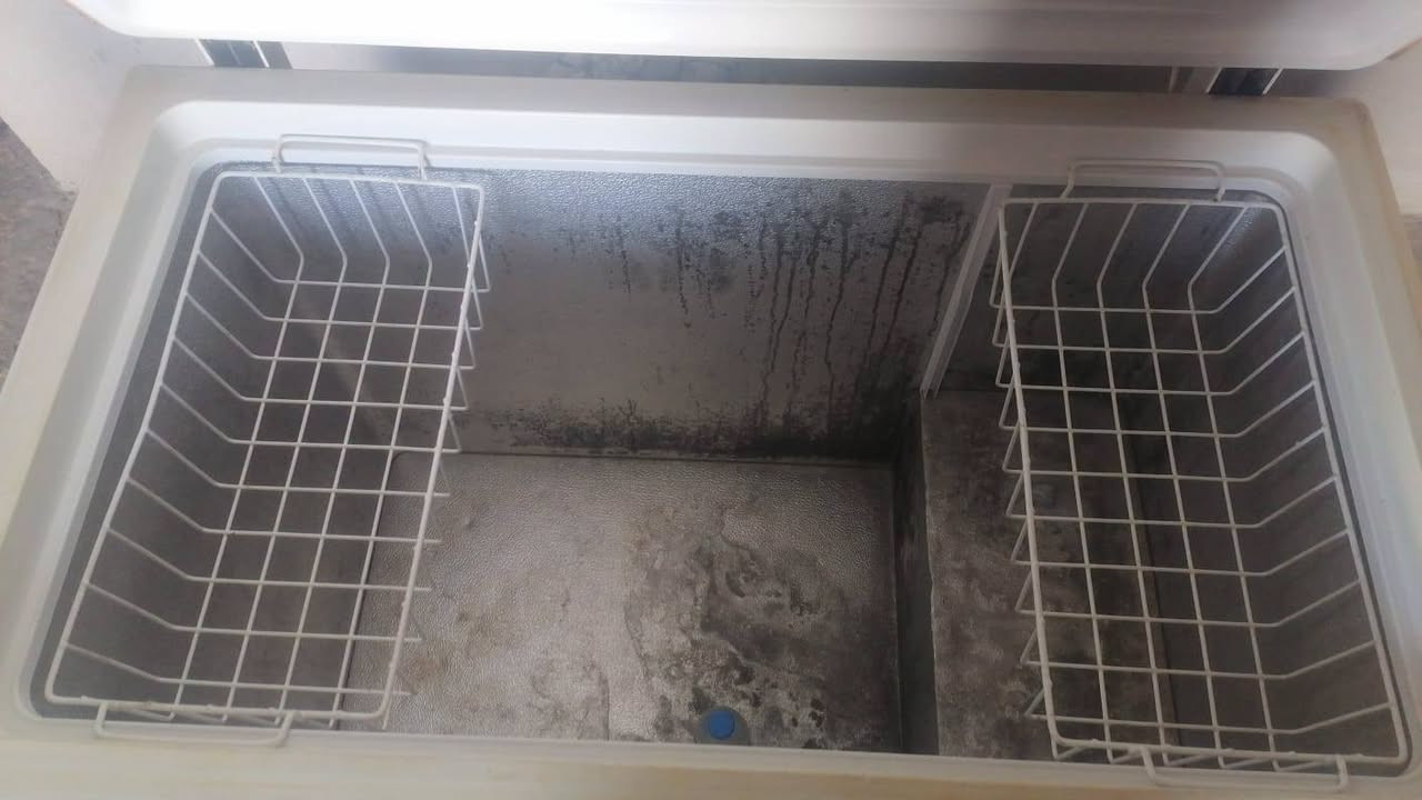 مجميده مال بيت  للبيع حجم 14 قدم ماطور غاز وضع شركة ضمان 10 يوم عنوان مخيم كبرتو تابع دهوك رقم واتساب *********** 📞 *********** وتساب مفتوح سه عه 8 صباح لي 11 مساء حجز غراض ماكو
