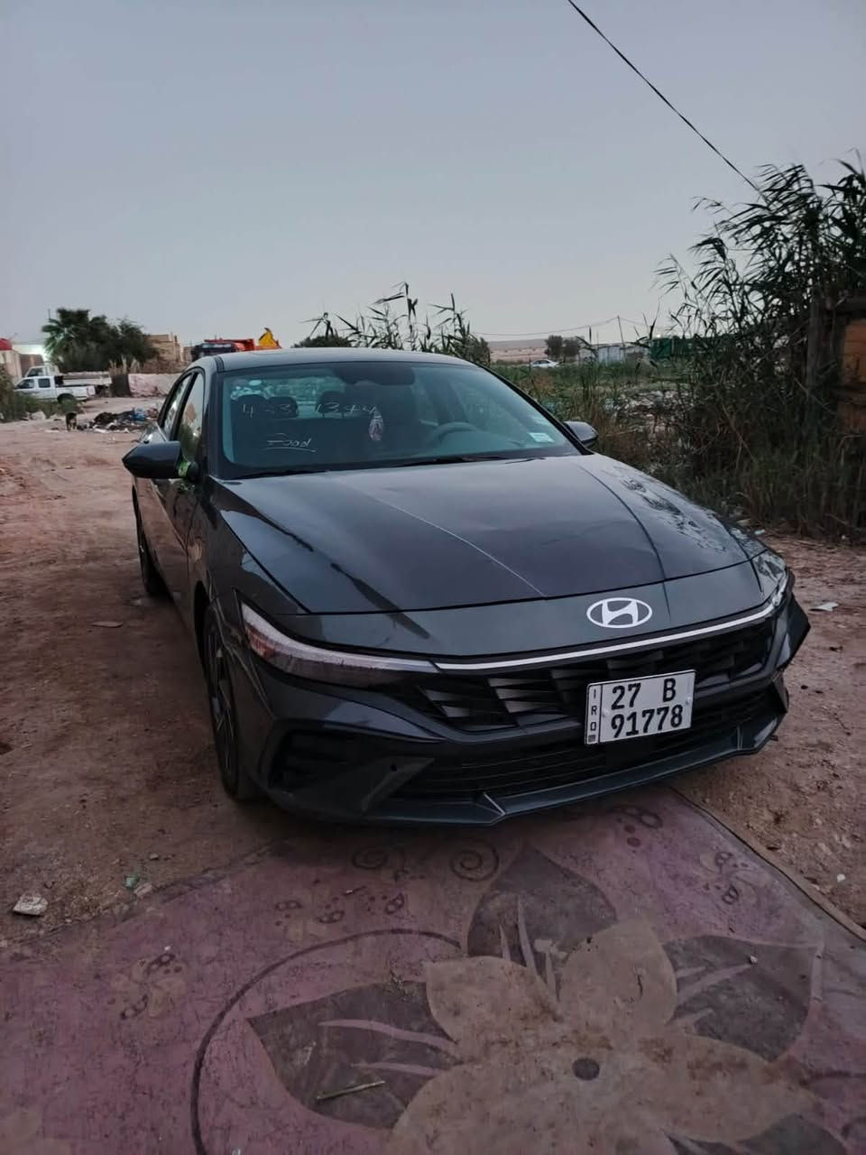 النترا • ٢٠٢٤ • وارد امريكي