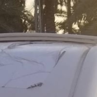 جديده • استعمال بسيط • نجف