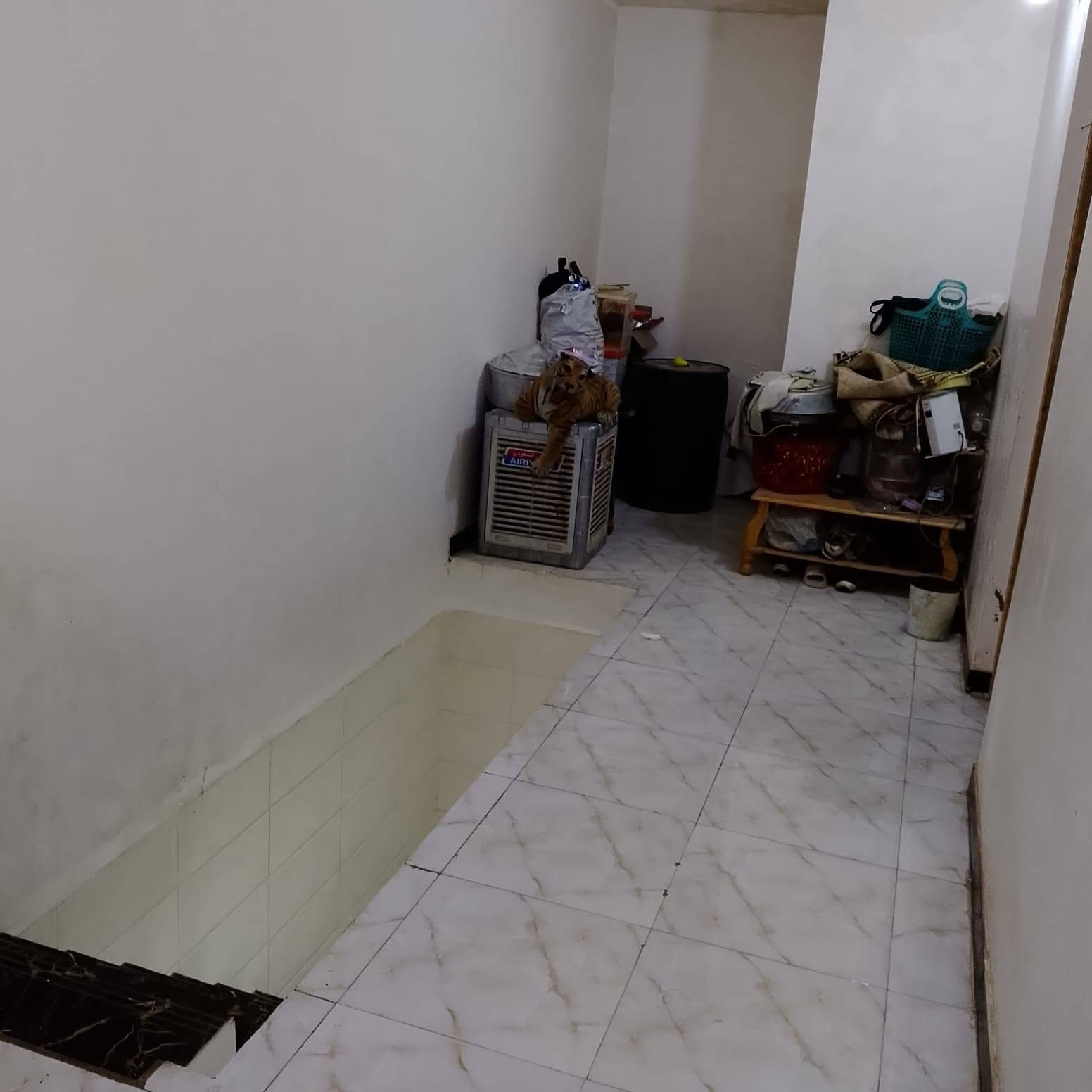 سلام عليكم بيت 77م بشعب خلف السده مقابل أبو هيثم غرفتين نوم واستقبال صاله صحيات داخليه وخارجيه جميع الخدمات متوفره سعر 70 وبي مجال اللستفسار***********
