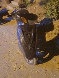 اكزز • نوزل خطين • شغاله نكره