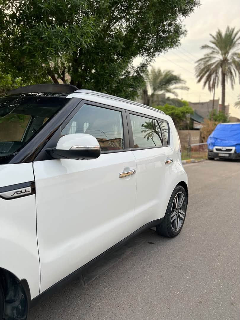 فول ١/١ • ٢٠١٦ • بدون صبغ