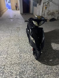 ماكس ثعلب • بلادي • مكفول